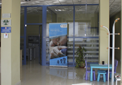 Galería de imágenes